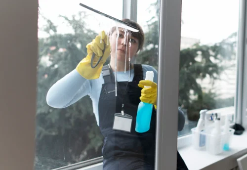 Nettoyage de vitres intérieures et extérieures au Gué-de-Velluire